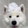 Profilbild von 𝗇𝗈𝗈'𝗂𝗈𝗇𝗇 シ