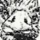 Murx Pickwick's profile picture