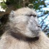Quique C. profil fotoğrafı