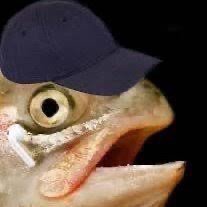 Grim 🐟's profile picture