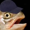 Grim 🐟's profile picture