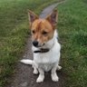 Profilbild von Nat.G80