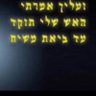 זיו בניה -טל's profile picture
