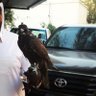 الفقير الى الله 的头像