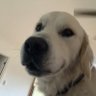 Ella Peplowski profil fotoğrafı