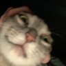 Profilbild von Some Recom