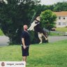 Barney DiBenedetto 🇺🇸 profil fotoğrafı