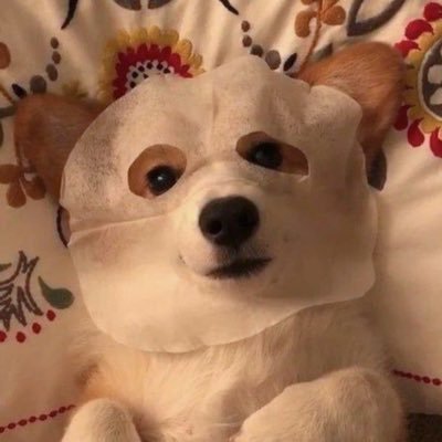 dr_jaem's profile picture