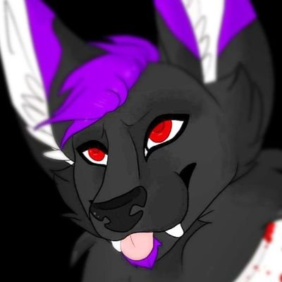 NocturneWolf's profile picture