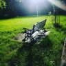 Roy profil fotoğrafı