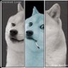 matt (nuke bruins from orbit)'s profile picture