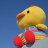 🐥きむらー🍊 profil fotoğrafı