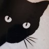 Profilbild von enrico