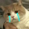 mosh's profile picture