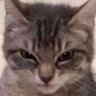 Aura Angelica's profile picture