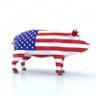 BossHogAmerica🐗's profile picture