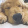 レオん's profile picture