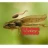 Sudirdja Hakam profil fotoğrafı
