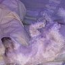 Profilbild von poppy2k