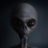 Ugly Alien's profile picture