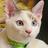 もも profil fotoğrafı