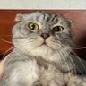 Оскар😼 的头像