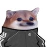 Sören 🇪🇪🌻 profil fotoğrafı