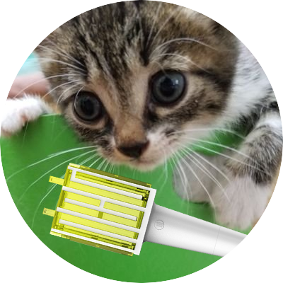 はーち ︎︎︎︎'s profile picture