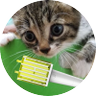 はーち ︎︎︎︎︎Fˡʸ ʰⁱᵍʰ ˡⁱᵏᵉ ᵃ bᵤₜₜₑᵣfₗy's profile picture