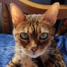 Joan profil fotoğrafı