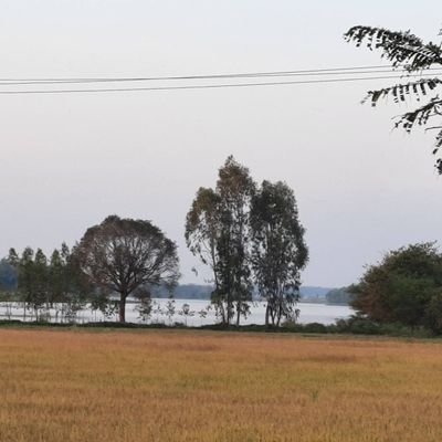 shilgiri_rao's profile picture