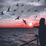 Profilbild von نائف الحربي