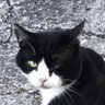 Y_8 profil fotoğrafı