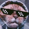 Gatto della via 的头像
