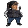 Muck Fusk 🇺🇸🇺🇦🇹🇼🌐🏗️'s profile picture