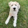 Kiro profil fotoğrafı