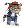 Profilbild von Bob