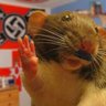 Фото профиля Hamster Sözcüsü