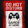 Gamer4lyf 的头像