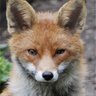 Profilbild von Gill
