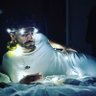 Homossensual profil fotoğrafı