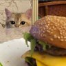 AntisocialGrace's profile picture