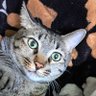 rjeshwari's profile picture
