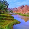 ياااسر 的头像