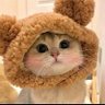 骑士 profil fotoğrafı