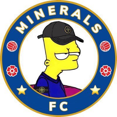 mineralsfc's profile picture