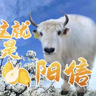 zhjishyngxn2's profile picture