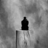 Ibrahem Alknoz's profile picture