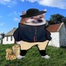 MePeanuts 〓〓🇺🇦🇪🇺's profile picture