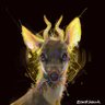Sketchbuck's profile picture